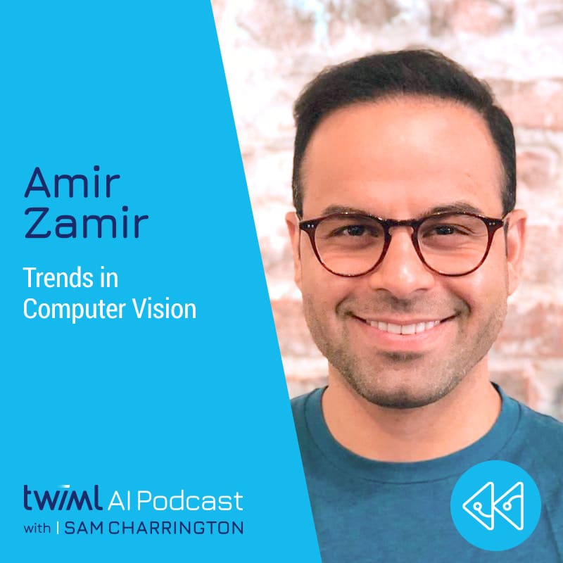 Cover Image: Amir Zamir - Podcast Interview