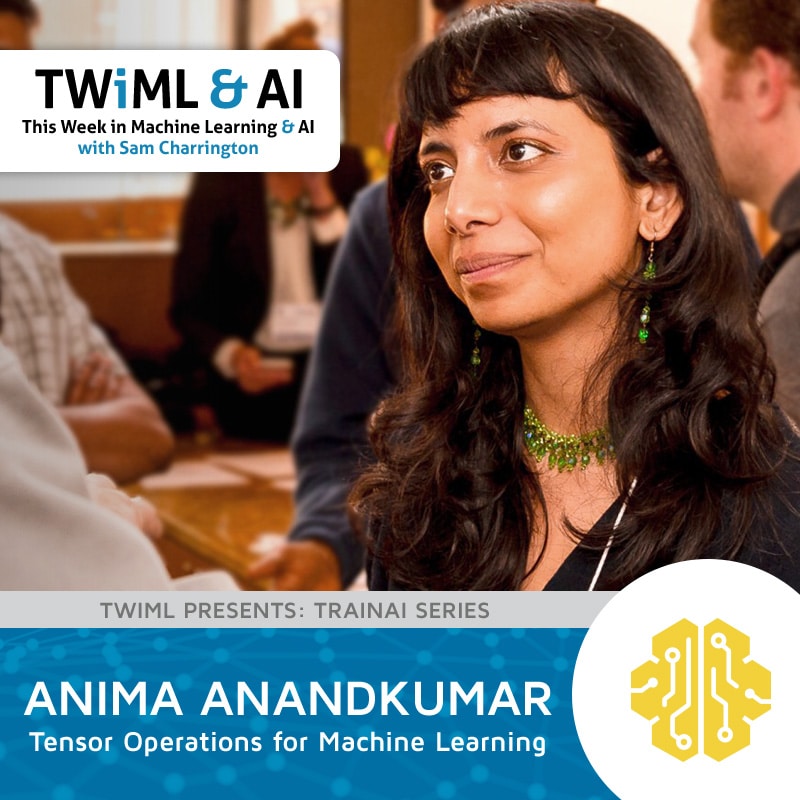 Cover Image: Anima Anandkumar - Podcast Interview