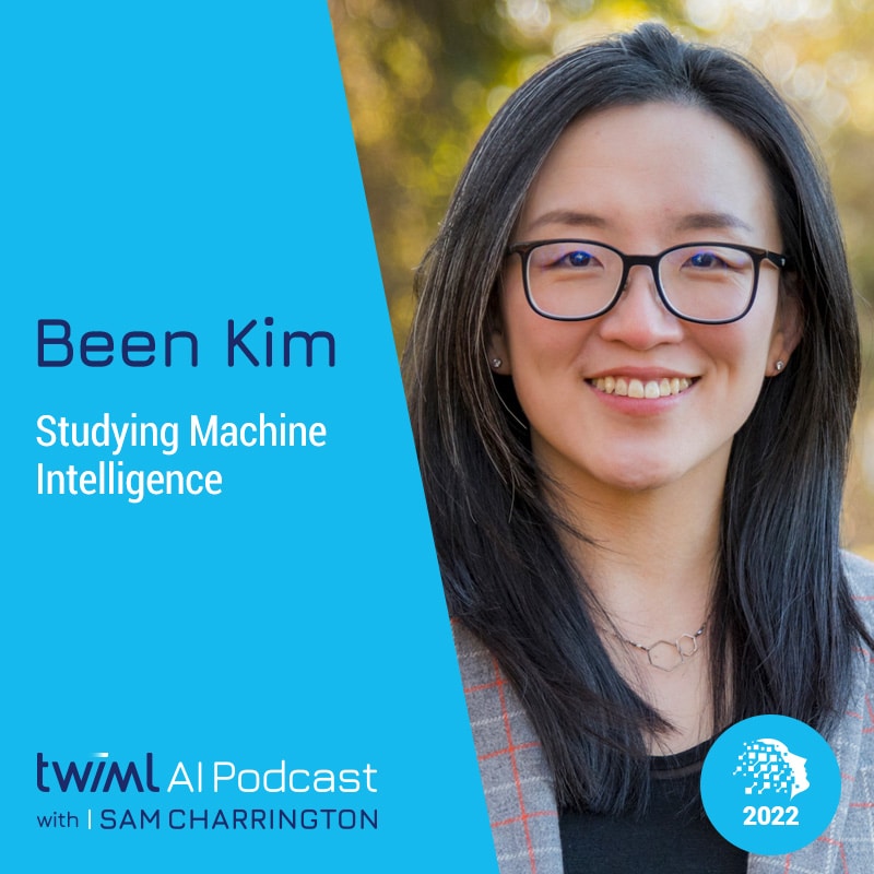Cover image: Been Kim - Podcast Interview