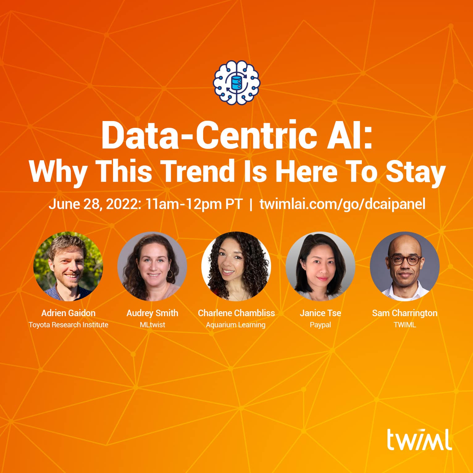 TWIML Data-Centric AI Panel