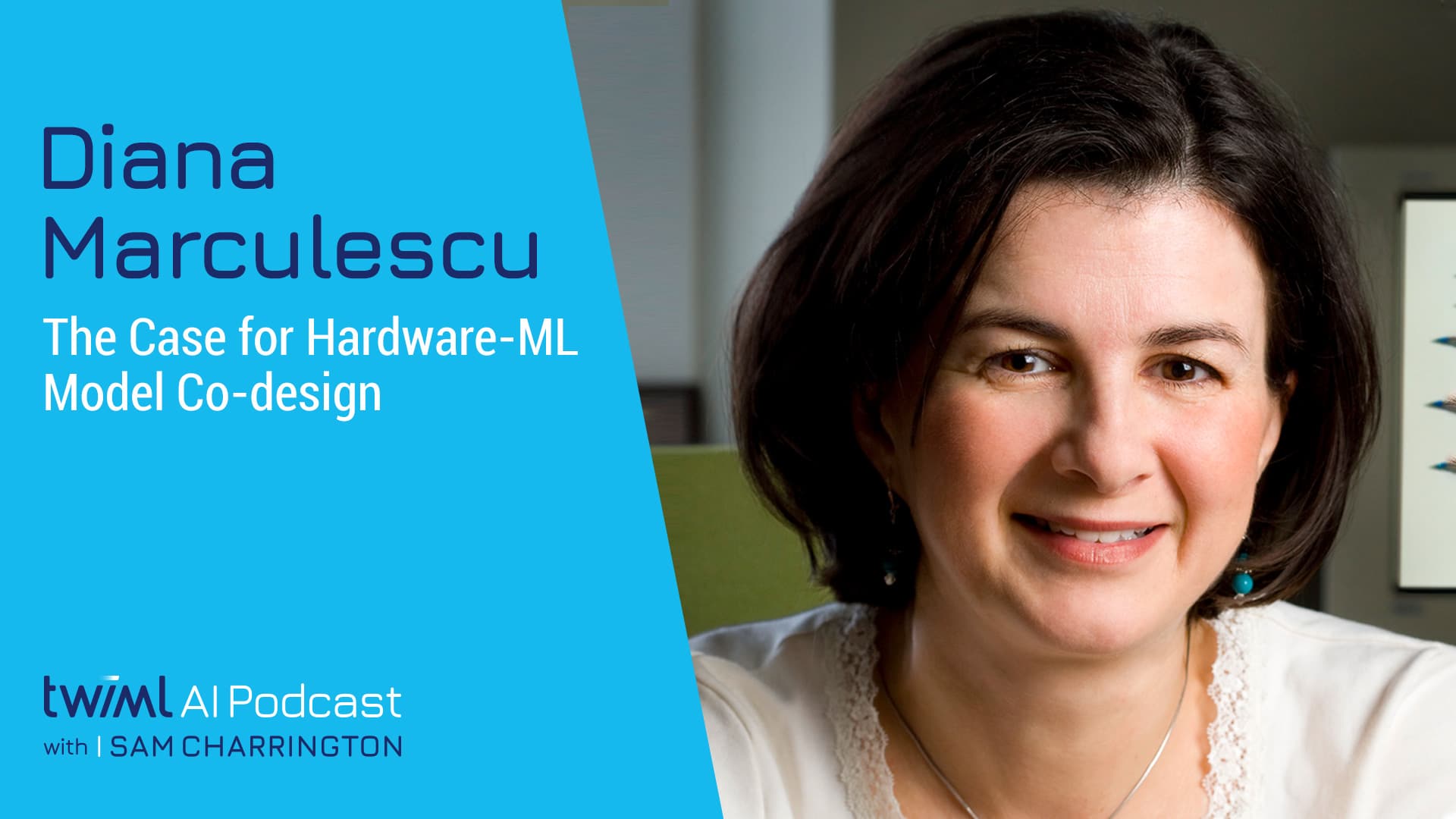 Banner Image: Diana Marculescu - Podcast Interview