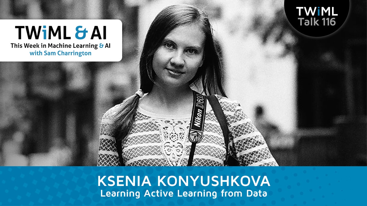 Banner Image: Ksenia Konyushkova - Podcast Interview
