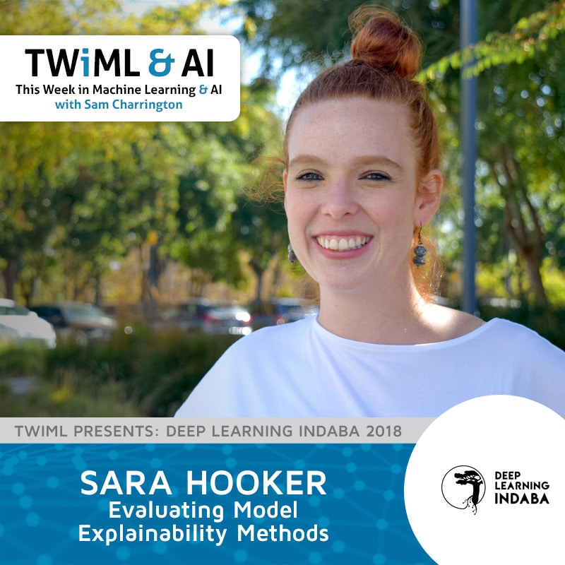 Cover Image: Sara Hooker - Podcast Interview