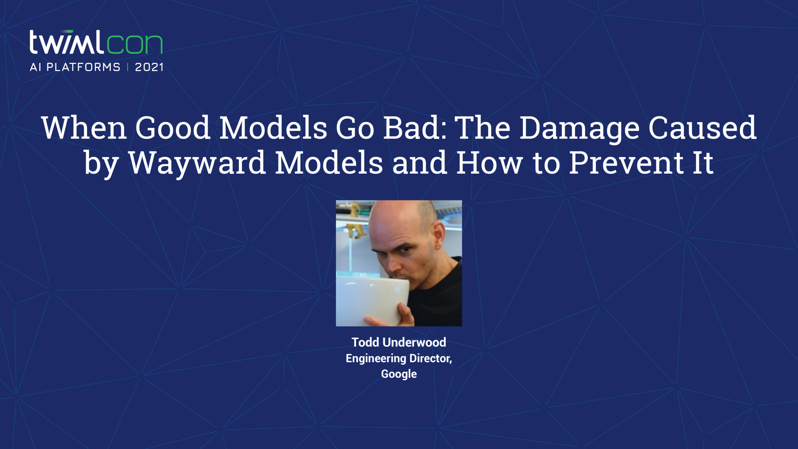 Cover Image: When Good Models Go Bad: The damage caused by wayward models and how to prevent it